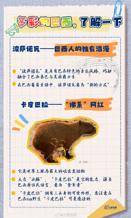 转存了解！9图带你了解多彩巴西