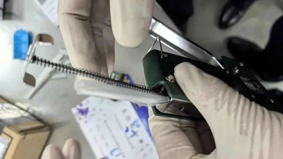 订书机变身“运毒神器”,南宁邮局海关截获15粒大麻种子 订书机变身“运毒神器”,南宁邮局海关截获15粒大麻种子