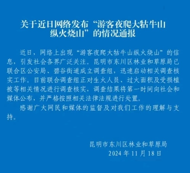 97%以上森林火灾是人为引起 发现森林火灾如何应对？