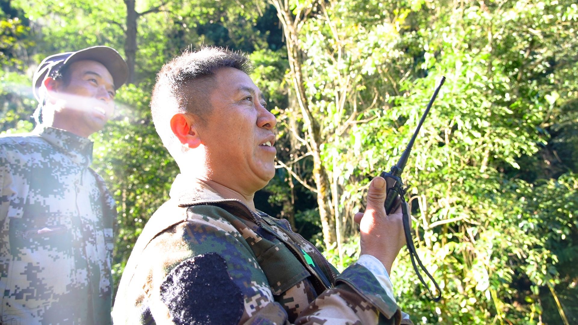 50斤3公里仅4分钟,怒江采收草果用上无人机 50斤3公里仅4分钟,怒江采收草果用上无人机