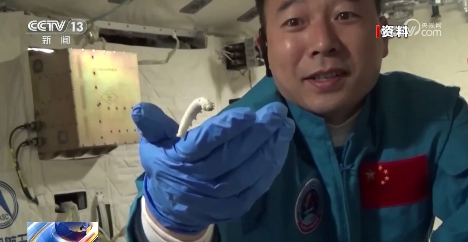 神舟一号首飞成功25周年 中国航天“永远值得期待” 神舟一号首飞成功25周年 中国航天“永远值得期待”