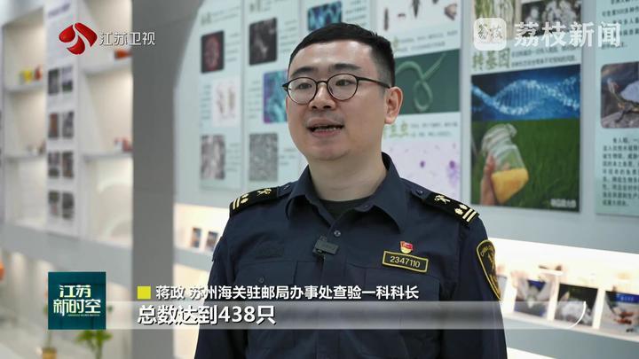 苏州海关在寄递渠道查获大头收获蚁等外来物种 苏州海关在寄递渠道查获大头收获蚁等外来物种