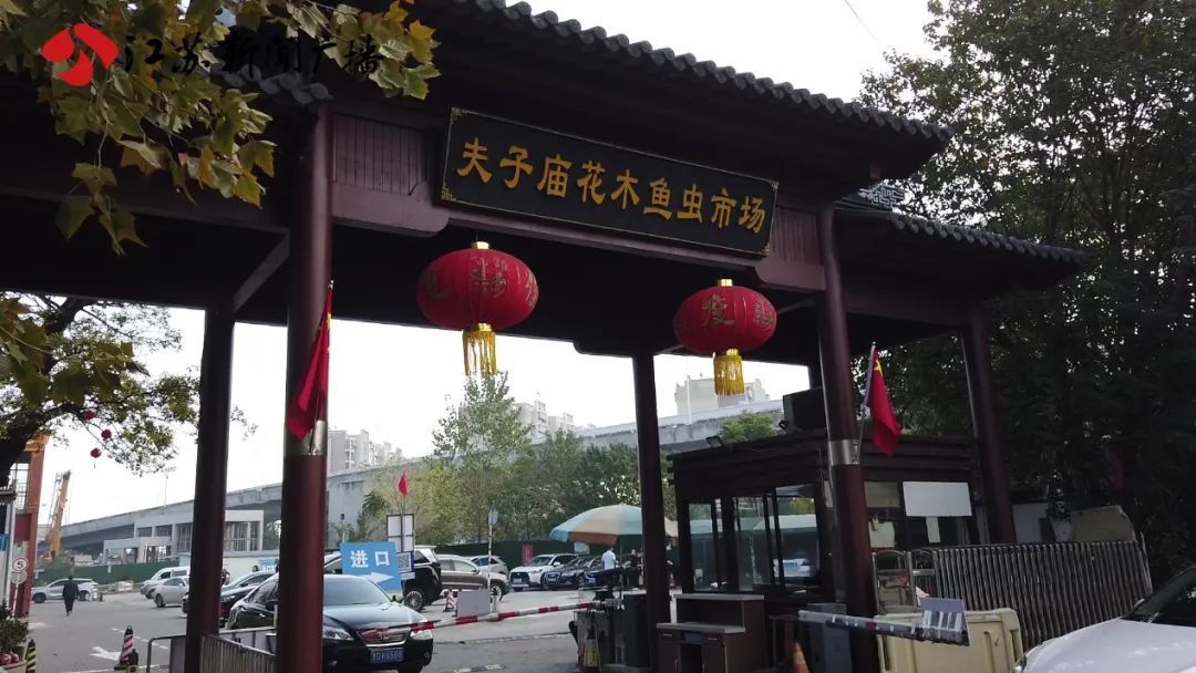 7种鹦鹉可合法购买饲养 非法养殖或触刑