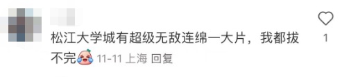紧急提醒:上海及多地近期出现这种“植物杀手”!看到立即上报,千万别碰! 紧急提醒:上海及多地近期出现这种“植物杀手”!看到立即上报,千万别碰!