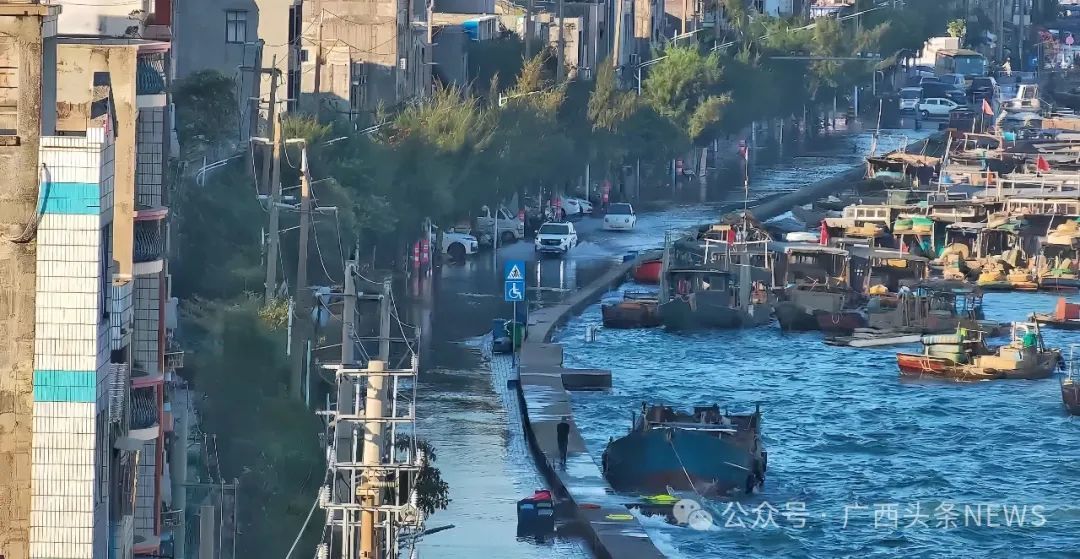 突发！大量海水灌入北海市区，竟是它惹的祸……