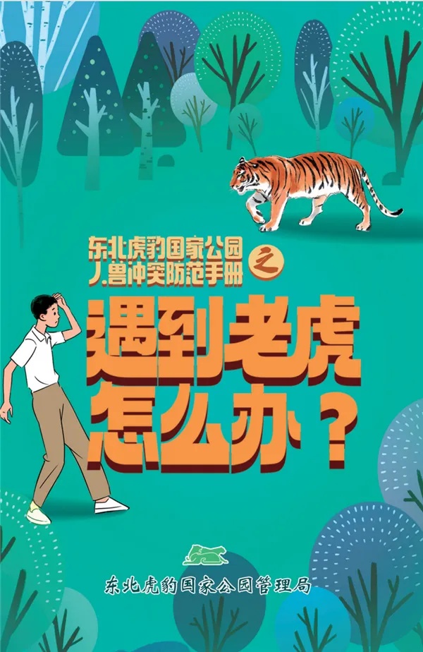 如确为野生虎伤人怎么办？东北虎豹国家公园回应