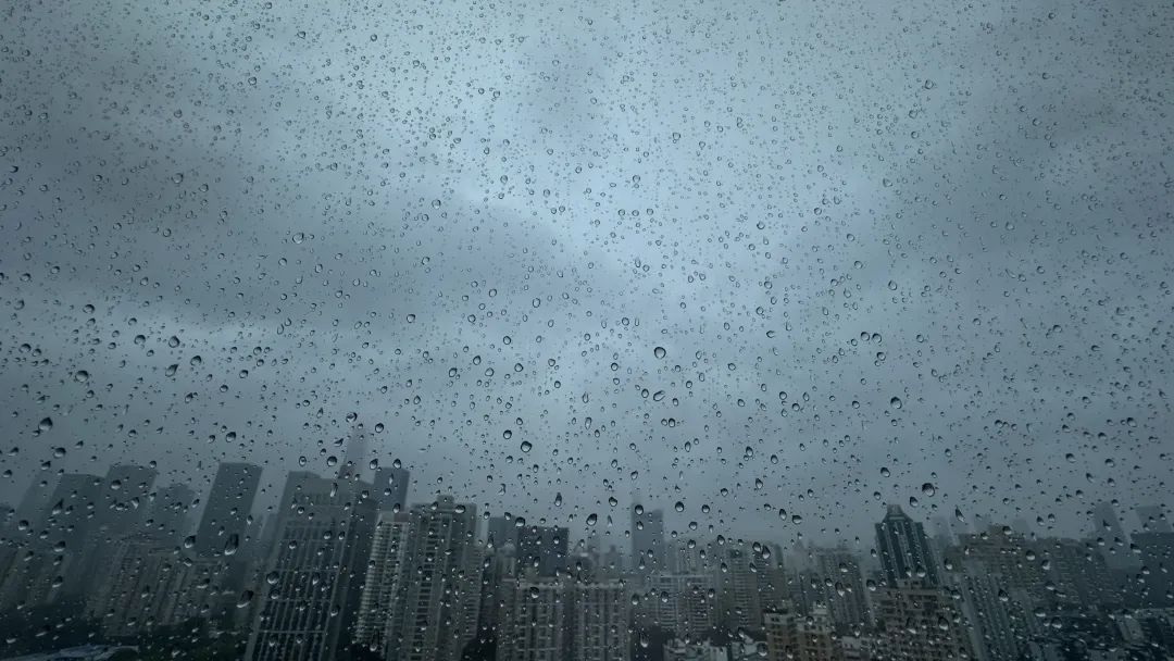 雨雨雨冷冷冷......深圳被“速冻”了！