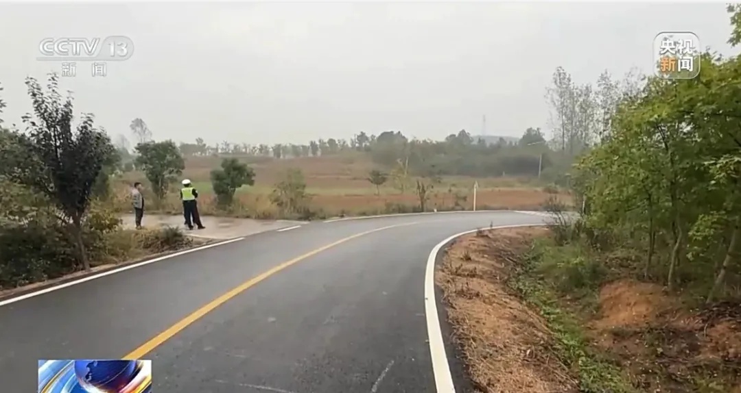 为骗保，男子竟开车撞树，当场身亡