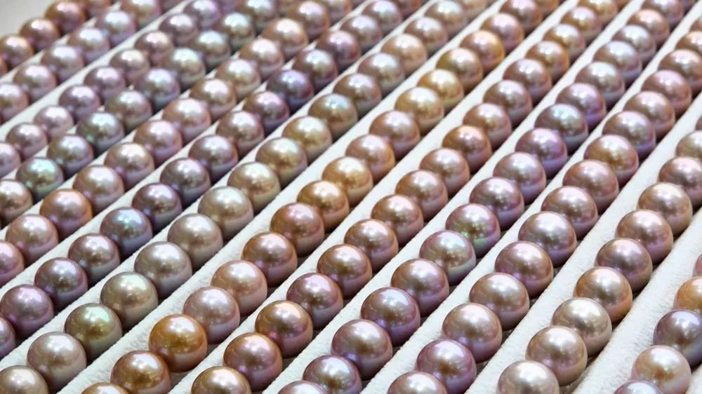 小小珍珠，富了一座小镇！