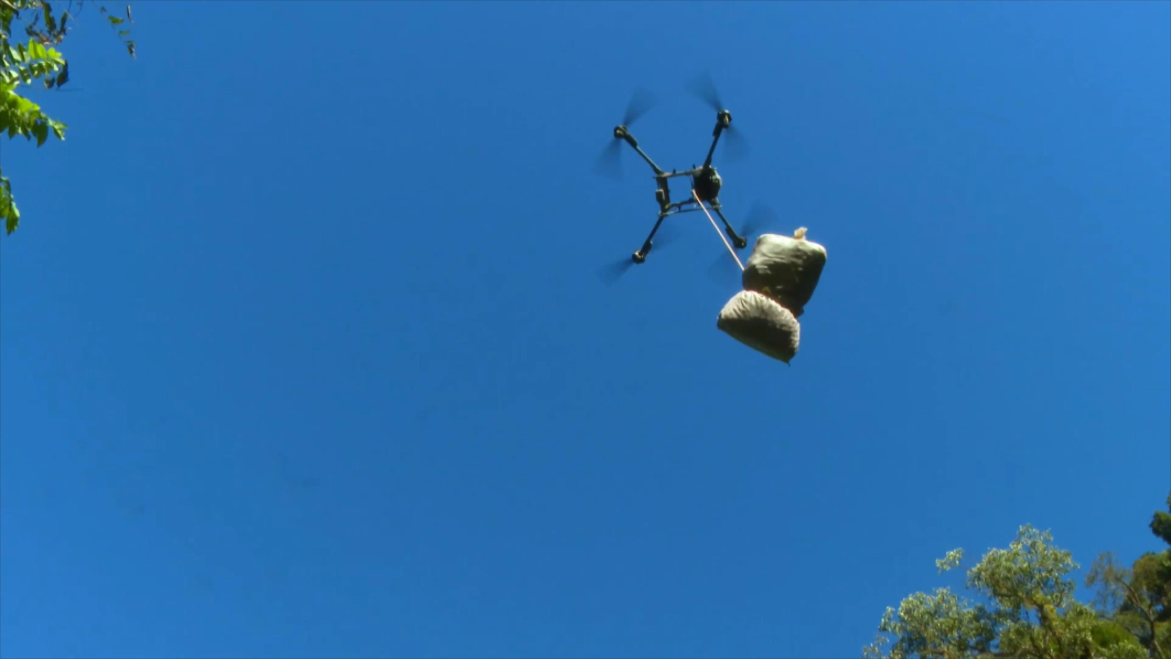 50斤3公里仅4分钟,怒江采收草果用上无人机 50斤3公里仅4分钟,怒江采收草果用上无人机