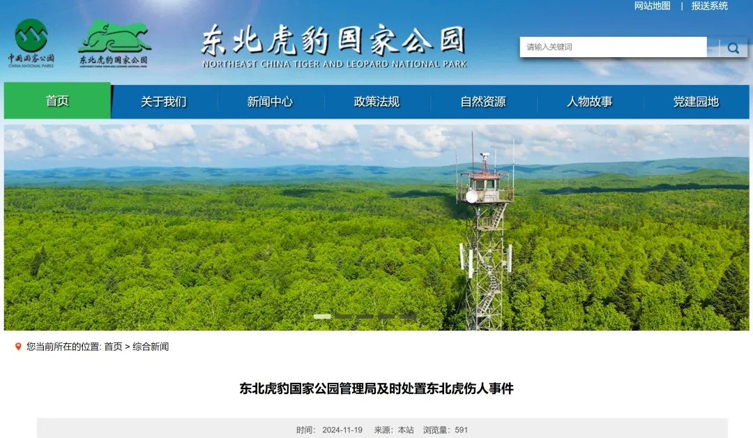 如确为野生虎伤人怎么办？东北虎豹国家公园回应