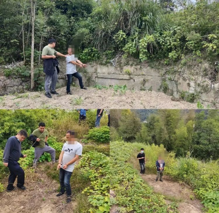 入户盗窃、盗掘古墓葬，9人被抓！