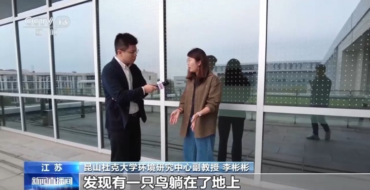 城市玻璃幕墙居然成了“鸟类杀手”? 城市玻璃幕墙居然成了“鸟类杀手”?