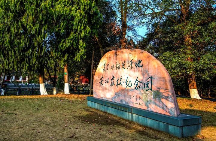 打卡理发店 免费游景区？这座“懂你之城”火了