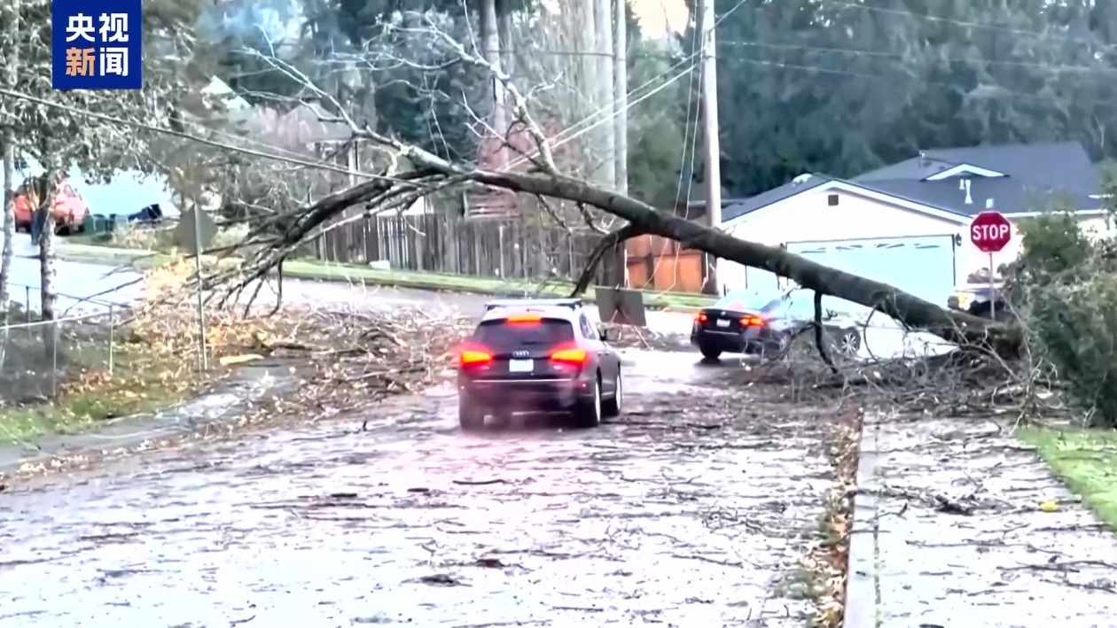“炸弹气旋”席卷美国西海岸已致2人死亡 强降雨警报持续 “炸弹气旋”席卷美国西海岸已致2人死亡 强降雨警报持续