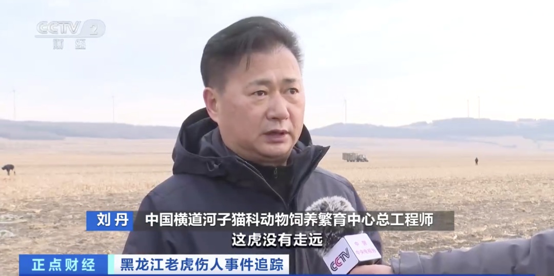 有人凑热闹要找老虎?专家:小心,它还没走远! 有人凑热闹要找老虎?专家:小心,它还没走远!