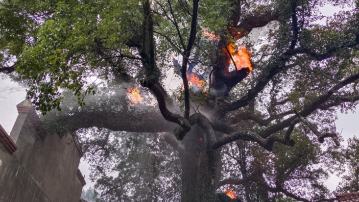 北京部分景区临时关闭或调整！这些行为不可取