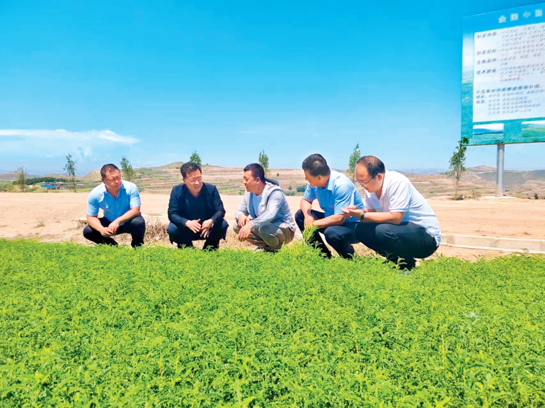 你会去因“脏乱差”出名的村旅游吗？一份政协提案助力这个村半年旅游综合收入达350万！