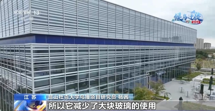 城市玻璃幕墙居然成了“鸟类杀手”? 城市玻璃幕墙居然成了“鸟类杀手”?