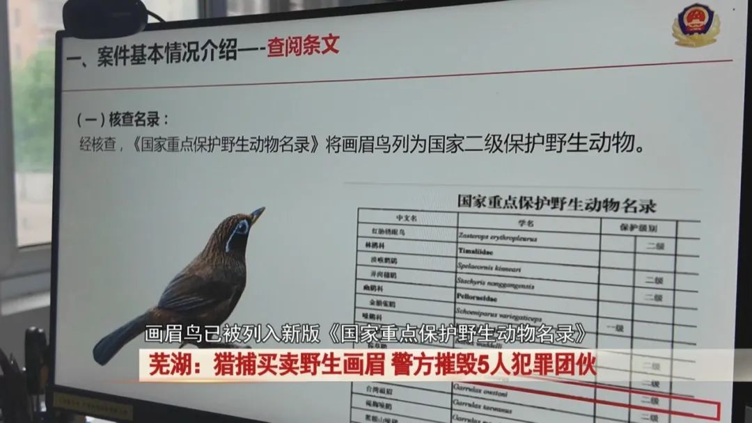 猎捕买卖野生画眉鸟，涉案几十万！民警：抓！
