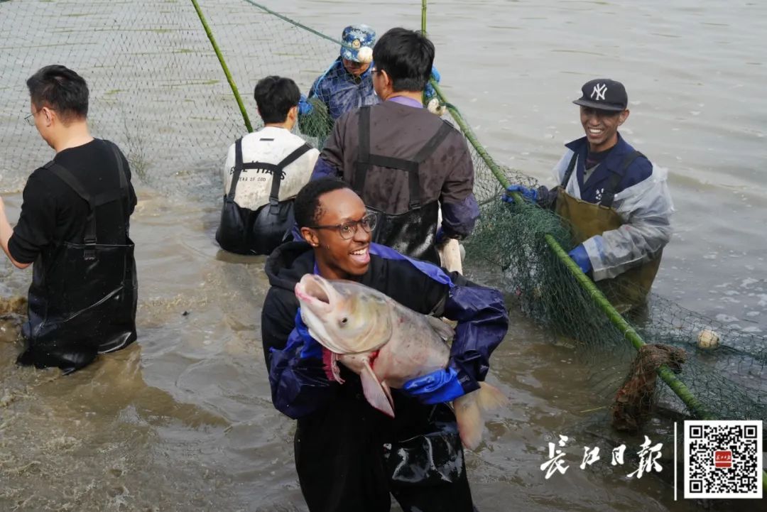 武汉一高校，请全校吃鱼！现场看得直流口水