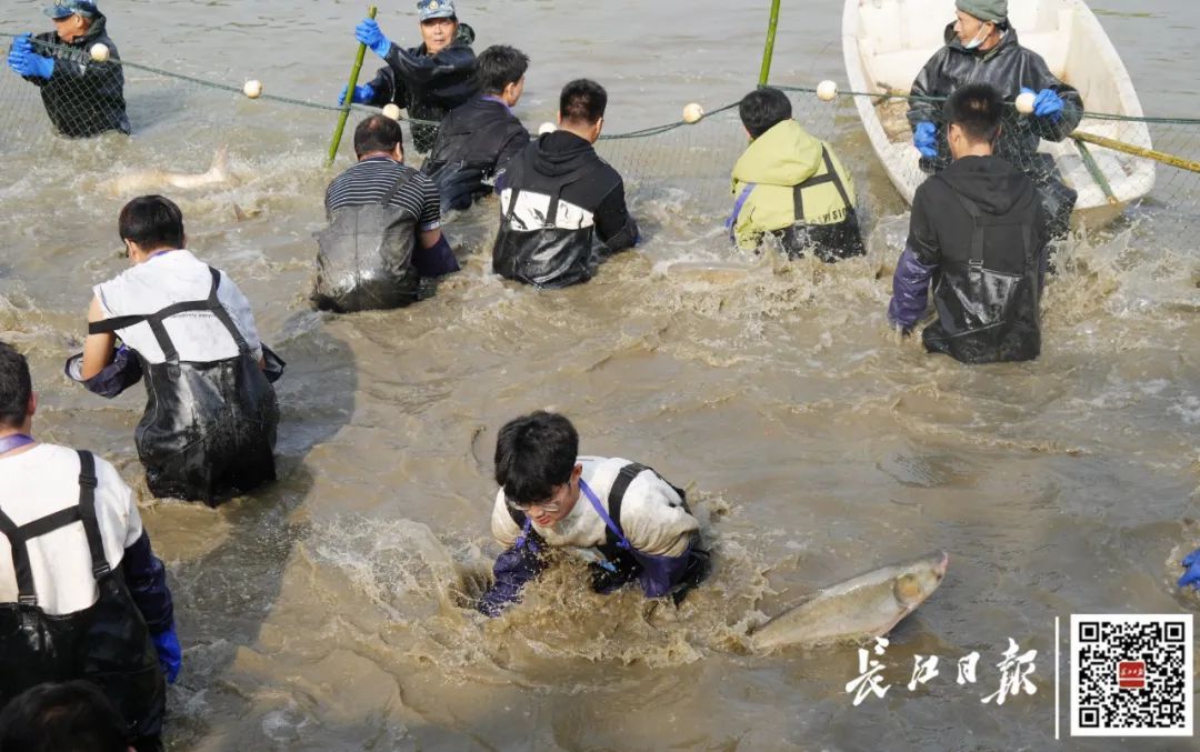 武汉一高校，请全校吃鱼！现场看得直流口水