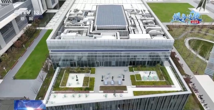 城市玻璃幕墙居然成了“鸟类杀手”? 城市玻璃幕墙居然成了“鸟类杀手”?