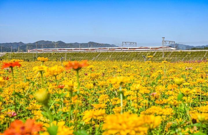 打卡理发店 免费游景区？这座“懂你之城”火了