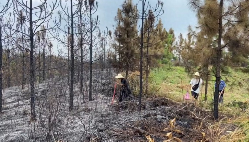 北京部分景区临时关闭或调整！这些行为不可取
