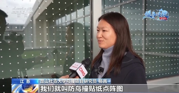 城市玻璃幕墙居然成了“鸟类杀手”? 城市玻璃幕墙居然成了“鸟类杀手”?