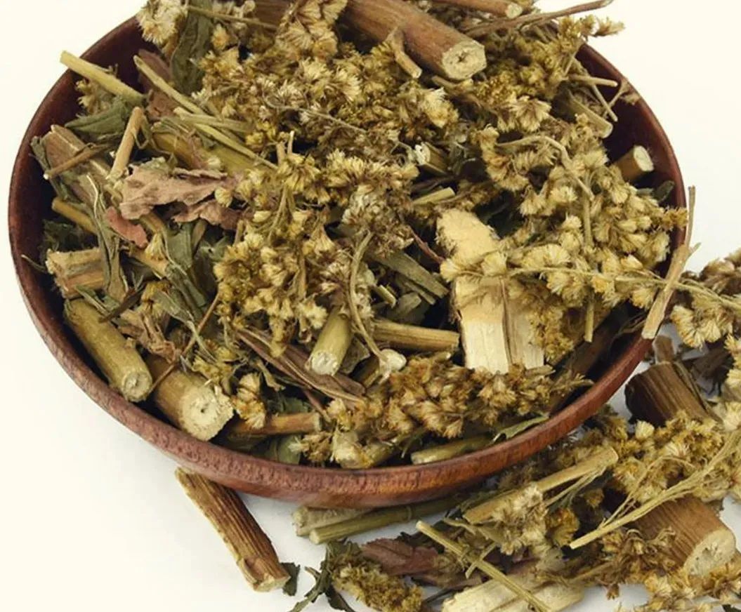 又双叒叕见“霸王花”!这家伙怎么除不尽灭不绝呢? 又双叒叕见“霸王花”!这家伙怎么除不尽灭不绝呢?