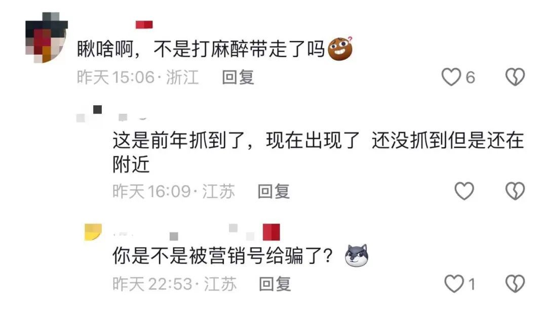 有人凑热闹要找老虎?专家:小心,它还没走远! 有人凑热闹要找老虎?专家:小心,它还没走远!