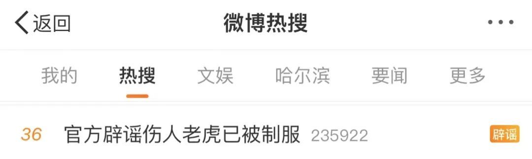 有人凑热闹要找老虎?专家:小心,它还没走远! 有人凑热闹要找老虎?专家:小心,它还没走远!