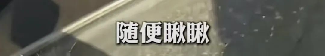 有人凑热闹要找老虎?专家:小心,它还没走远! 有人凑热闹要找老虎?专家:小心,它还没走远!