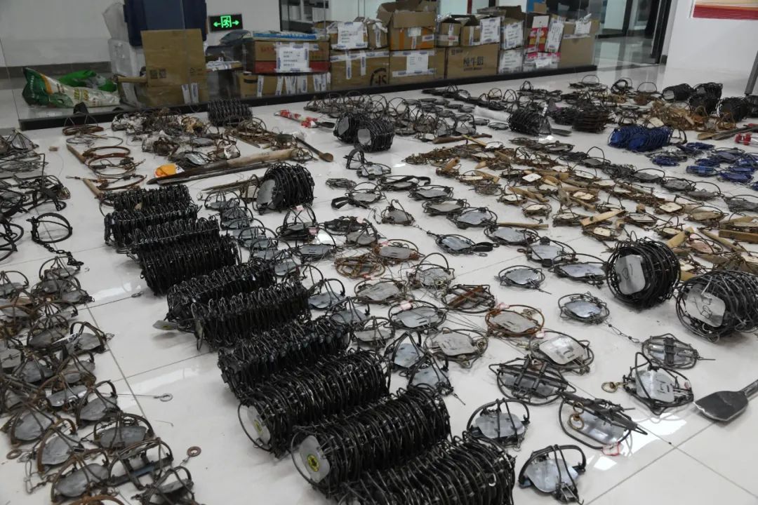 35人落网!特大非法狩猎与传授犯罪方法案告破 35人落网!特大非法狩猎与传授犯罪方法案告破