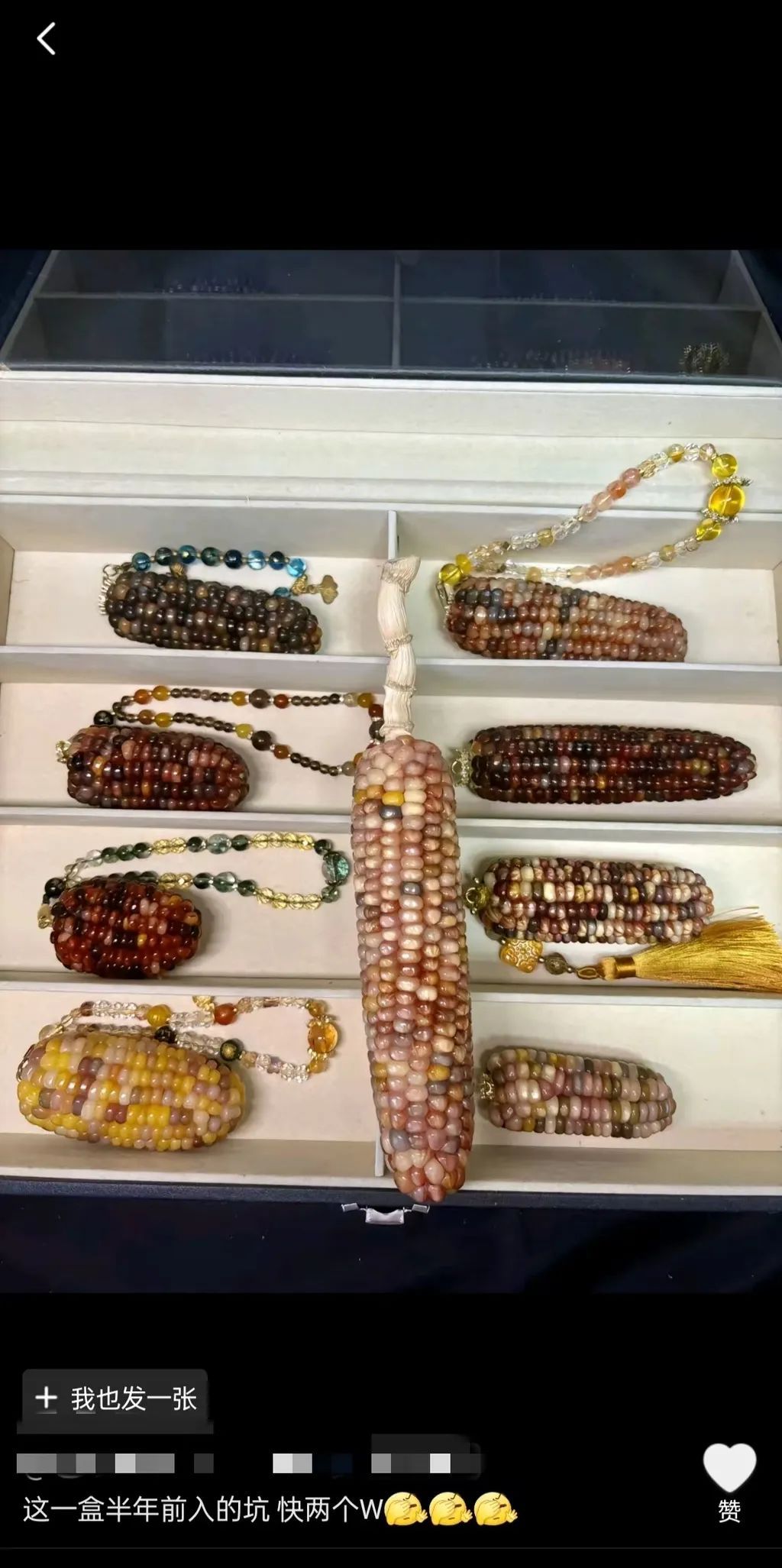 单价可上千元！这是你看过最贵的“玉米”吗？