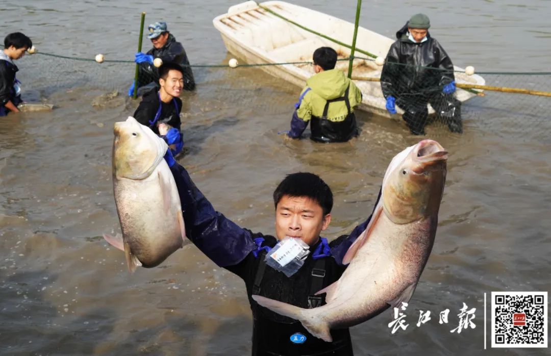 武汉一高校，请全校吃鱼！现场看得直流口水