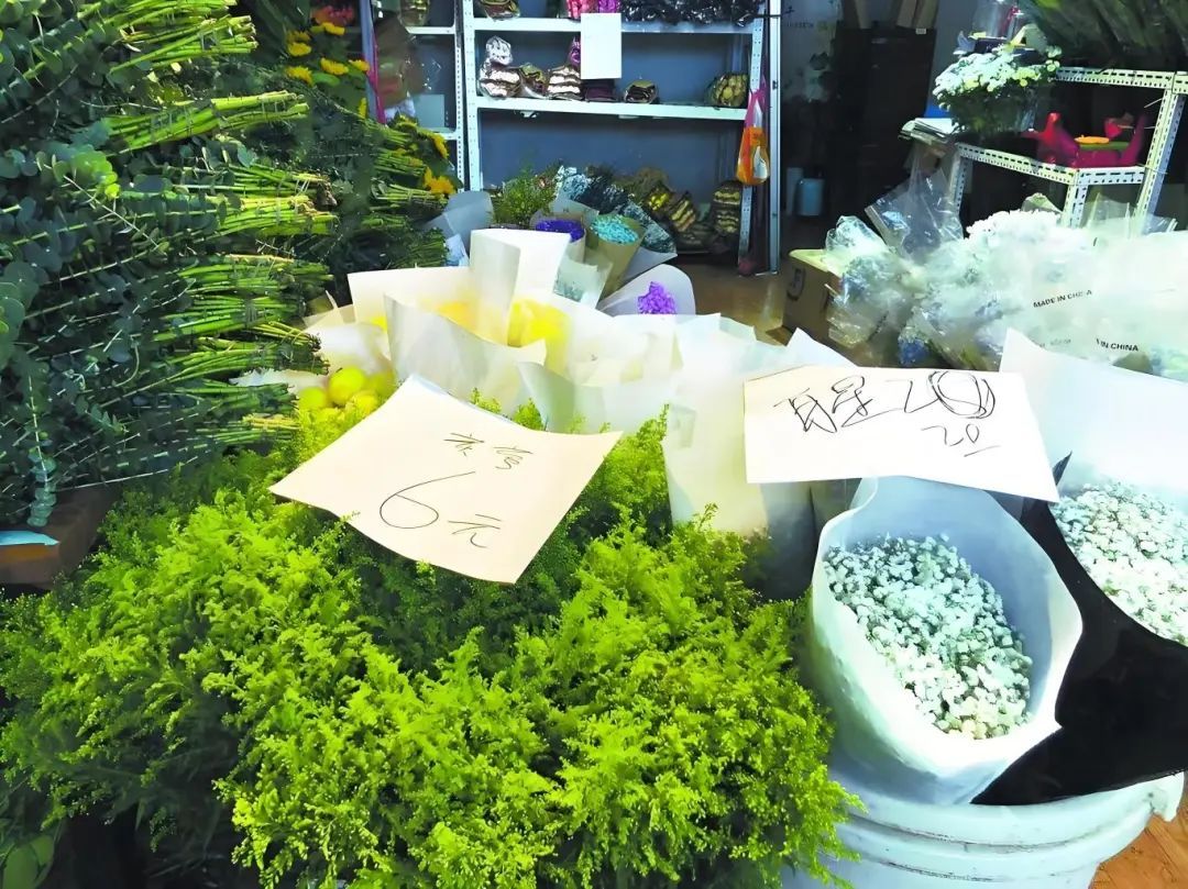 又双叒叕见“霸王花”!这家伙怎么除不尽灭不绝呢? 又双叒叕见“霸王花”!这家伙怎么除不尽灭不绝呢?