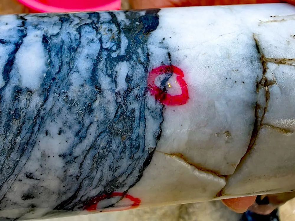 价值达6000亿元!万古金矿田有新发现 价值达6000亿元!万古金矿田有新发现