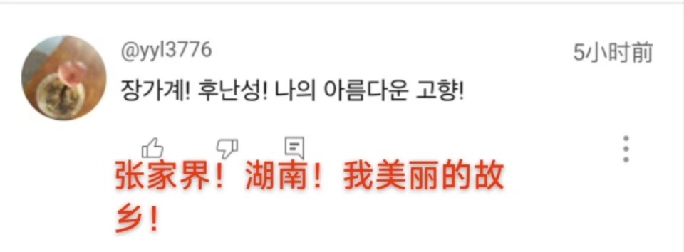 张家界宣传片火到外网，韩国教授留言：但愿有机会带重病夫人再去一次