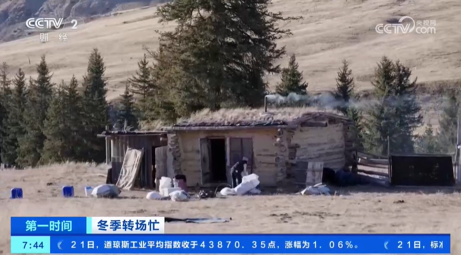 冬季转场忙 新疆伊犁河谷开启冬季转场 一起去看牧民们的转场生活