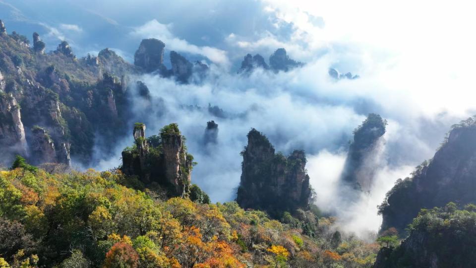 张家界国家森林公园初冬出现壮丽云海,或将在12月迎来首场降雪 张家界国家森林公园初冬出现壮丽云海,或将在12月迎来首场降雪