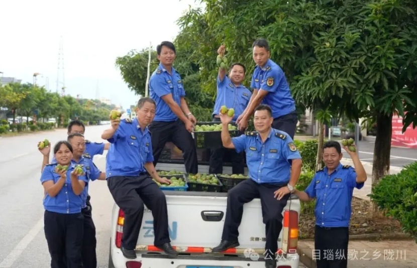 200多吨橙子免费发！云南略微出手，馋哭全国网友！