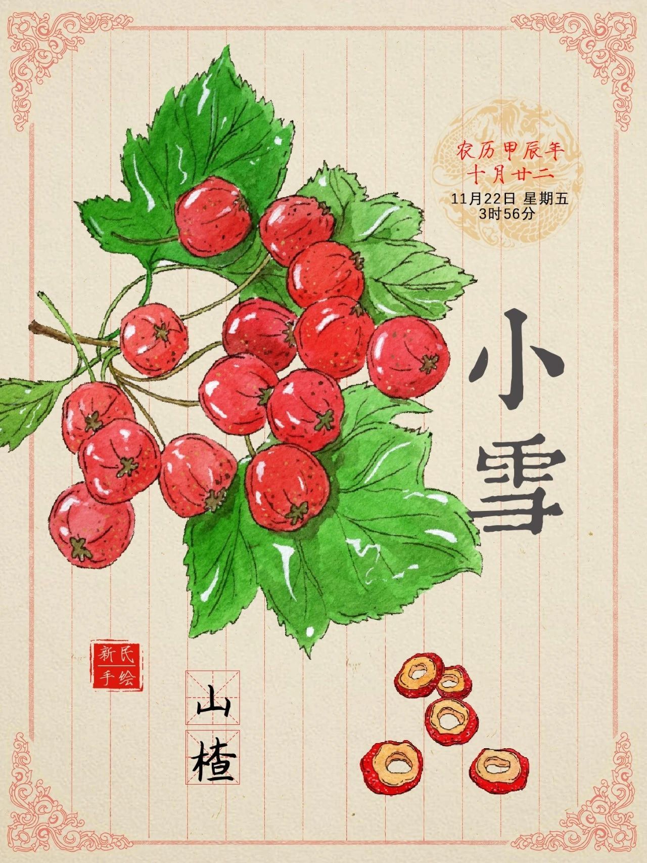 小雪 | 日渐冷,阳气藏!消食健胃、行气降脂还看这款人气红果 小雪 | 日渐冷,阳气藏!消食健胃、行气降脂还看这款人气红果