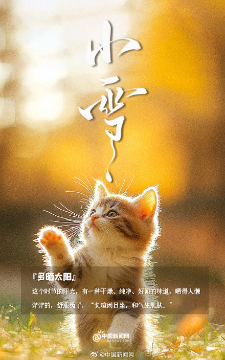 今日小雪,万物冬藏 今日小雪,万物冬藏