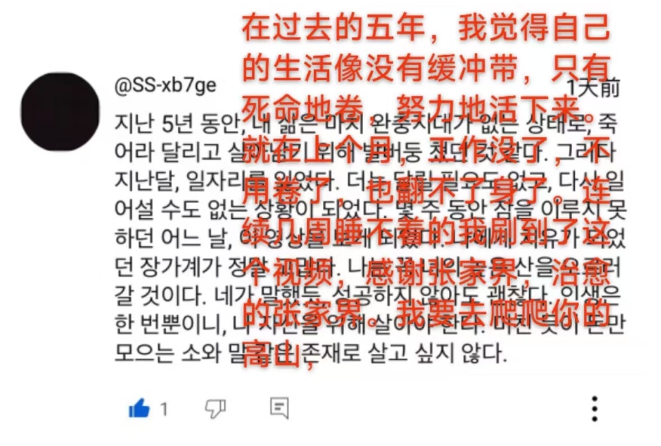 张家界宣传片火到外网，韩国教授留言：但愿有机会带重病夫人再去一次