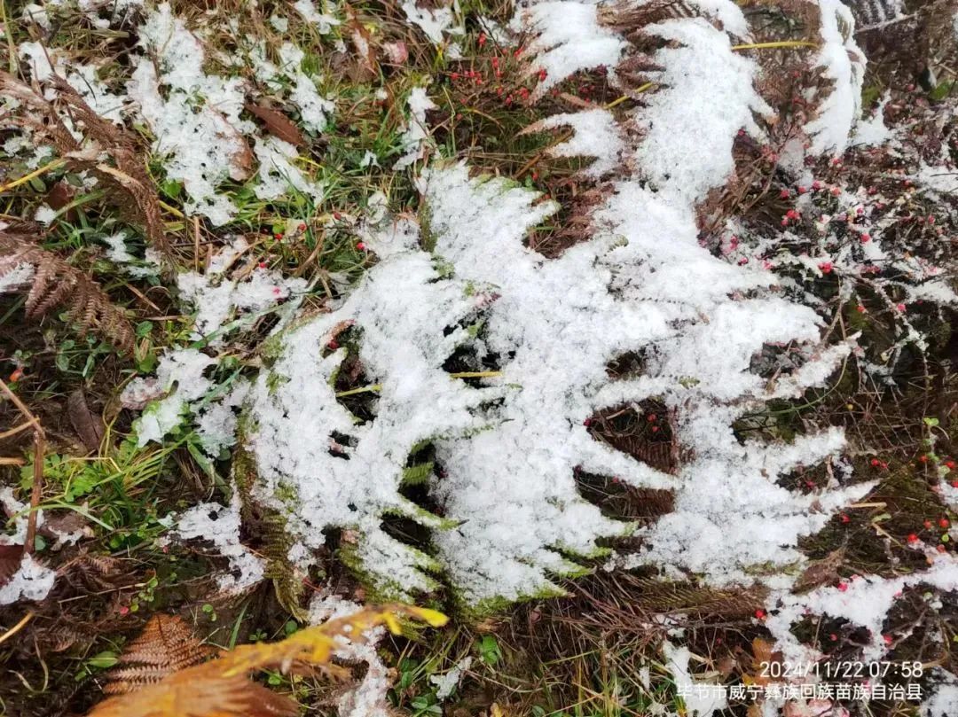 今日小雪！贵州下雪啦！