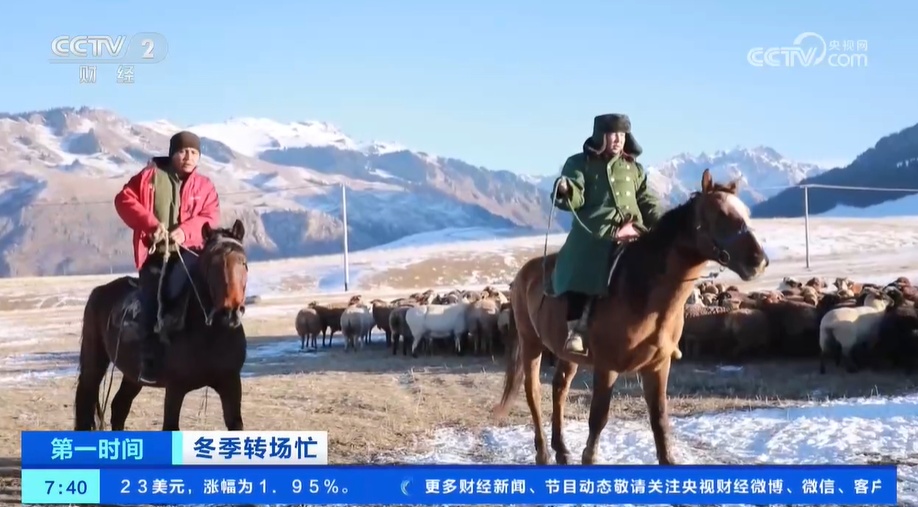 冬季转场忙 新疆伊犁河谷开启冬季转场 一起去看牧民们的转场生活