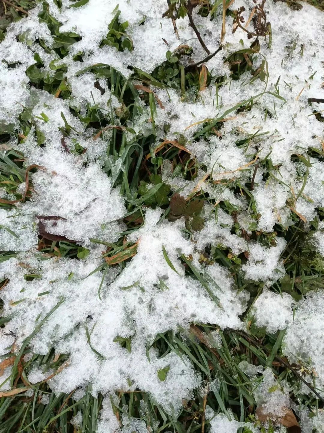 今日小雪！贵州下雪啦！