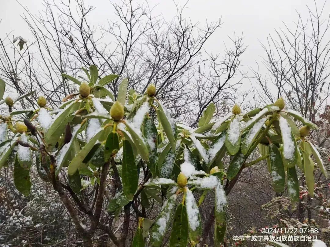 今日小雪！贵州下雪啦！